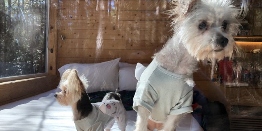 Navasota Texas Road Trip