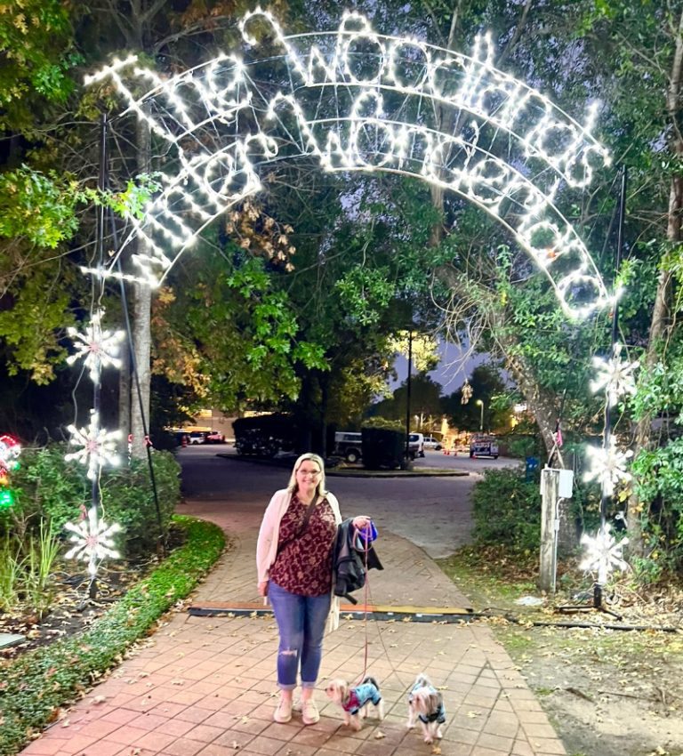 Woodlands Texas Holiday Adventures