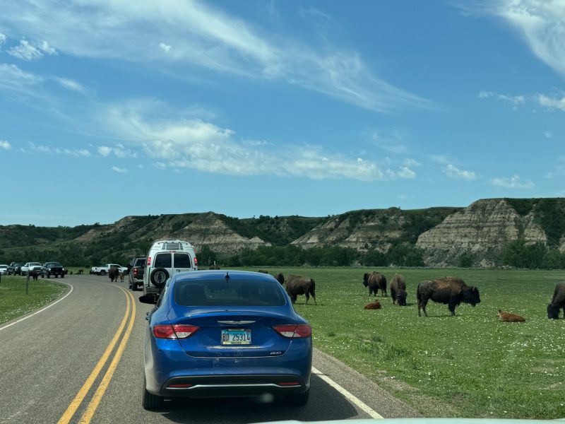 Road Trip Through The American West
