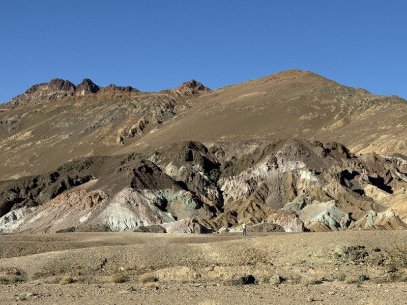 Death Valley National Park Superbloom Event