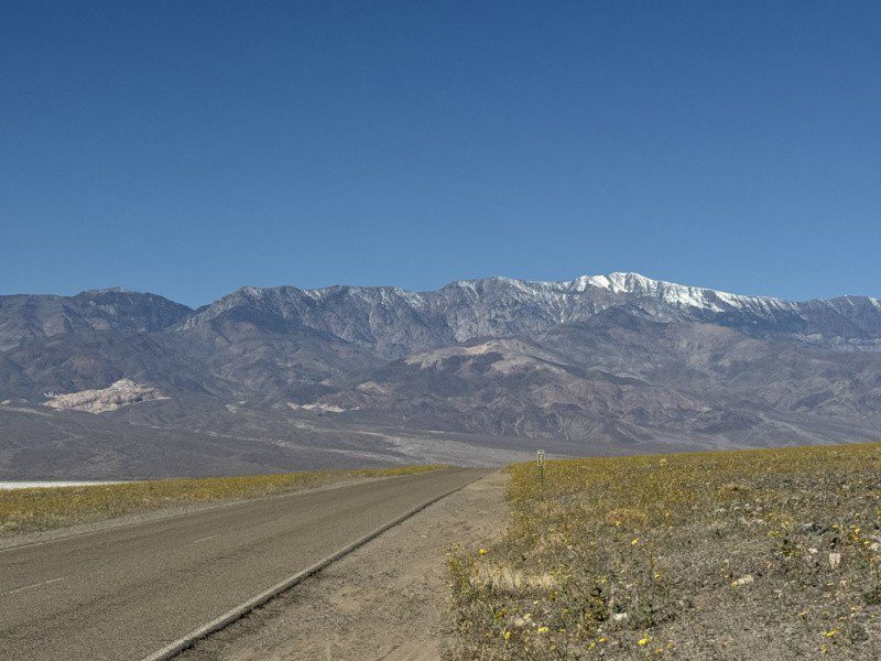 Death Valley National Park Superbloom Event