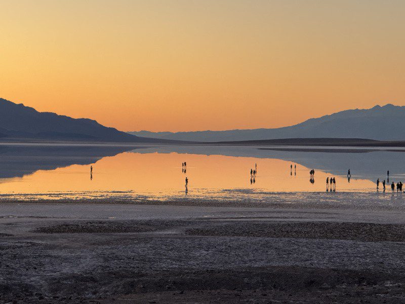 Death Valley National Park Superbloom Event